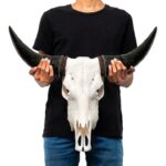 MOUNTAIN GUARDIAN YAK SKULL WALL HANGING SCULPTURE