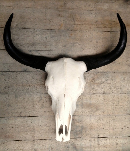 MOUNTAIN GUARDIAN YAK SKULL WALL HANGING SCULPTURE