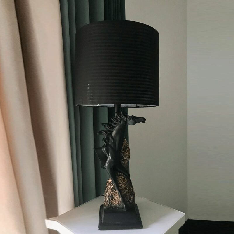 EQUAS ILLUMINATION LAMP