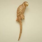 EXOTIC PARROT WALL HANGING