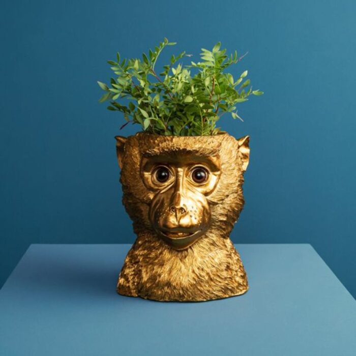 FLOWER POT MONKEY BRUCE GOLD
