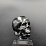 BLACK GLASS SKULL LIGHT COVER WITH CUSTOM 3D PRINTED BASE