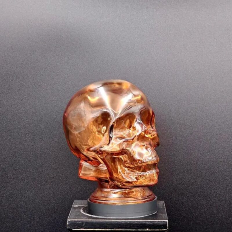 ORANGE GREY SKULL LIGHT COVER WITH CUSTOM 3D PRINTED BASE