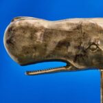 DECORATIVE OBJECT WHALE