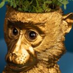 FLOWER POT MONKEY BRUCE GOLD