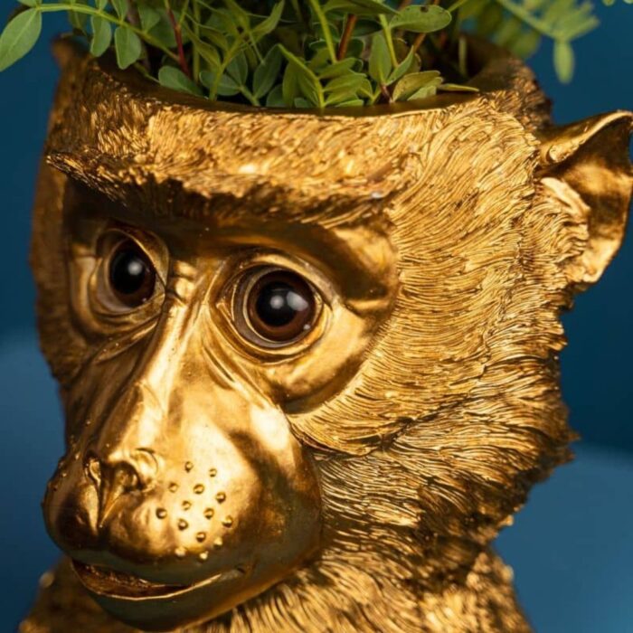 FLOWER POT MONKEY BRUCE GOLD