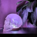 HUMAN SKULL TABLE LAMP
