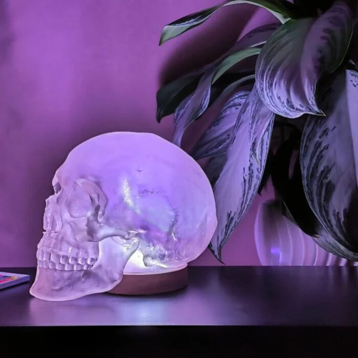 HUMAN SKULL TABLE LAMP