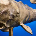 DECORATIVE OBJECT WHALE