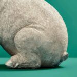 MONEY BOX PIG PIGGY BANK ROSE GOLD