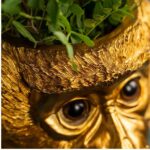 FLOWER POT MONKEY BRUCE GOLD