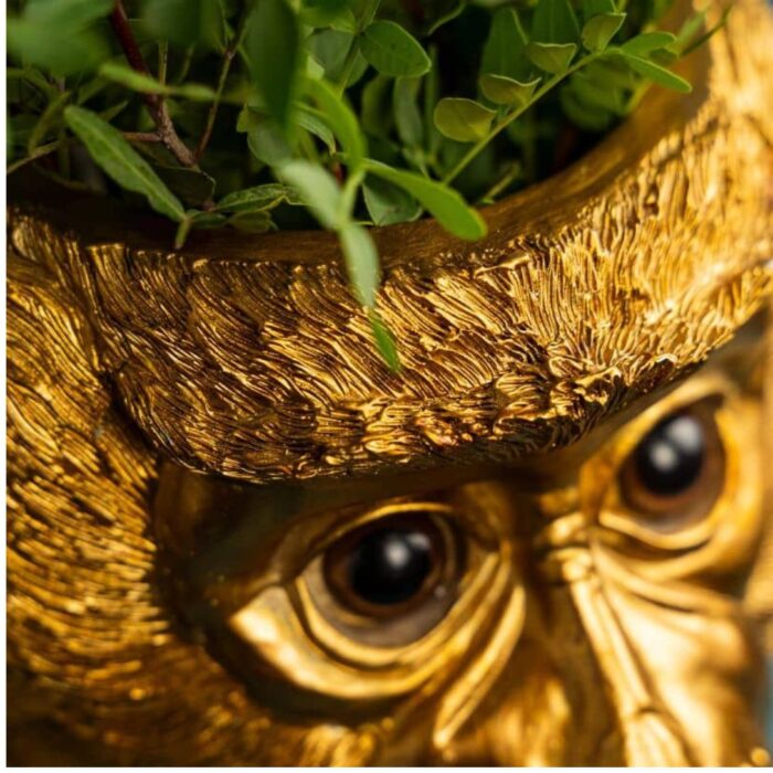 FLOWER POT MONKEY BRUCE GOLD