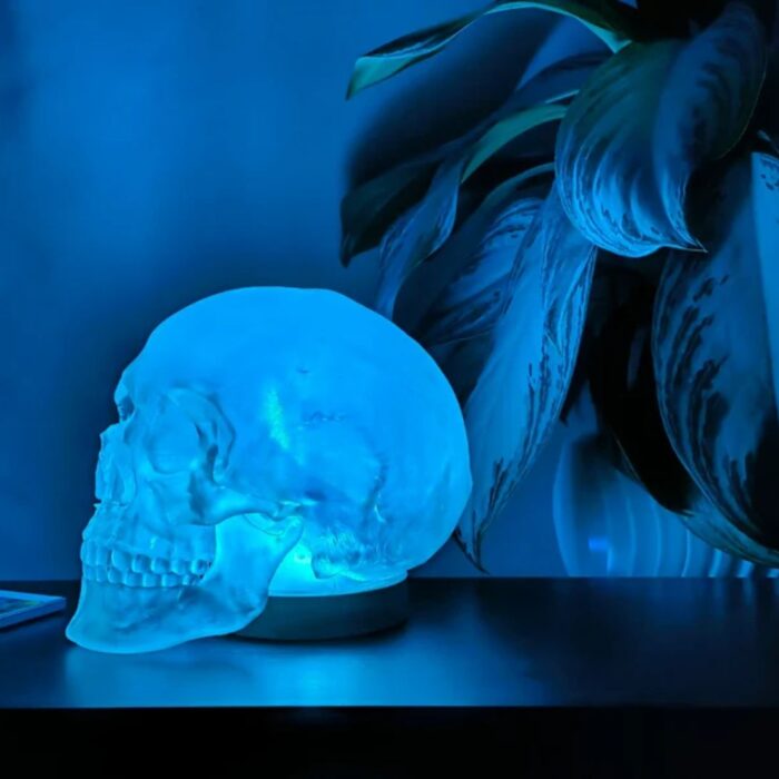 HUMAN SKULL TABLE LAMP