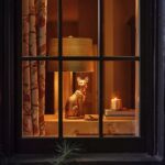 THE ICON TABLE LAMP: CAT EDITION