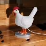 CHICKEN EGG DESK LAMP