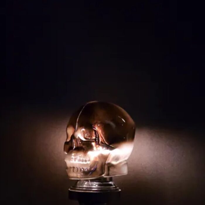 BLACK GLASS SKULL LIGHT COVER WITH CUSTOM 3D PRINTED BASE
