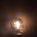 SMOKE GREY SKULL LIGHT COVER WITH CUSTOM 3D PRINTED BASE