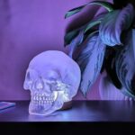 HUMAN SKULL TABLE LAMP