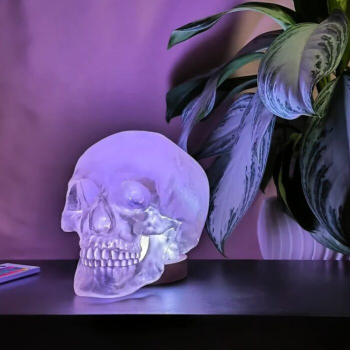 HUMAN SKULL TABLE LAMP