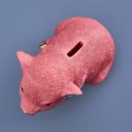 MONEY BOX PIG PIGGY BANK PINK