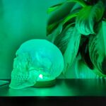 HUMAN SKULL TABLE LAMP