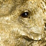 WALLLAMP DINOSAURS TRICERATOPS CERA GOLD
