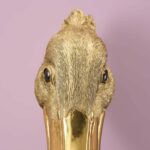 Wall Lamp Pelican Pelikanus Gold