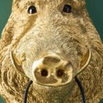 Wall Lamp Wild Boar / Pig Willy Gold