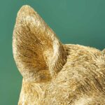 Wall Lamp Wild Boar / Pig Willy Gold