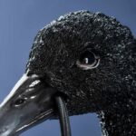 Wall Light Swan Baby Petra Black