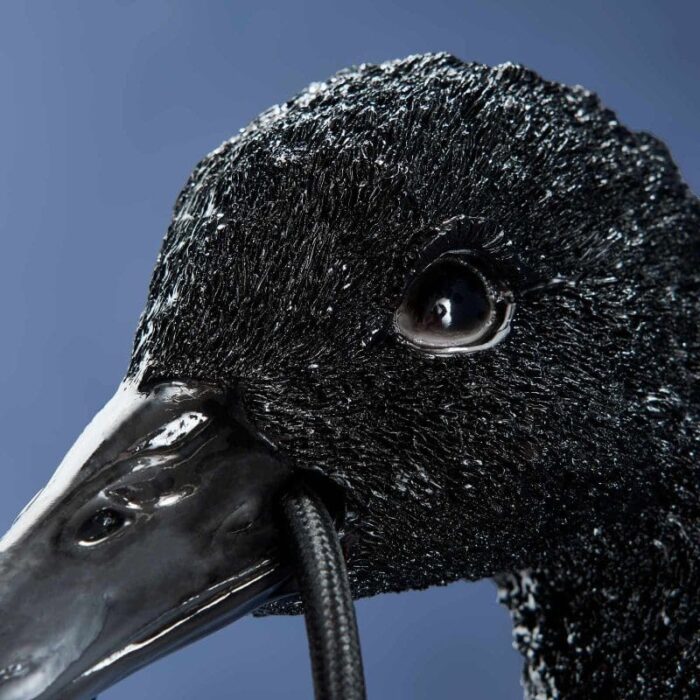 Wall Light Swan Baby Petra Black