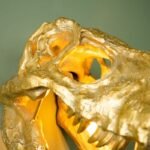 Wall Lamp Dinosaur Rexy Gold
