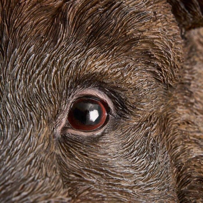 Wall Lamp Wild Boar / Pig Willy Brown