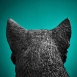 Table Lamp Cat Chouchou Black