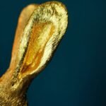 Table Lamp Rabbit Meister Lampe Gold