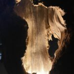 SHAMAN LAMP