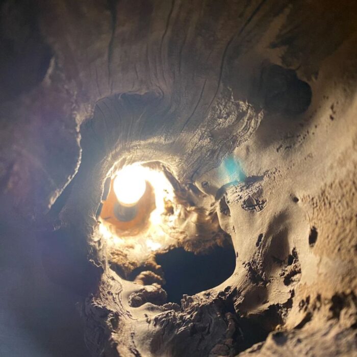 SHAMAN LAMP