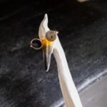 OZZY THE QUIRKY BIRD WALL ART