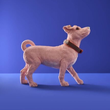 Decorative Figure Dog Charlie with Collar Animal Sculpture