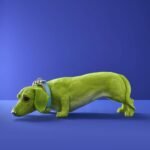 Decorative Figure Dog Dachshund with Collar Wilfried Animal Sculpture