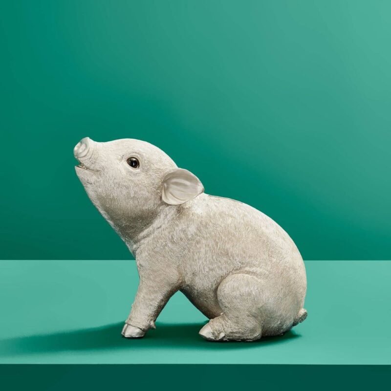 Money Box Pig Piggy Bank Animal Sculpture