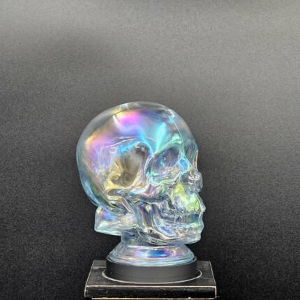 Clear Glass Skull Sculptural Table Lamp Cover