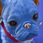 Decorative figure dog French Bulldog Molly with collar Animal Sculpture