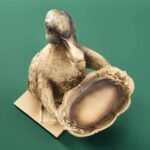 Card Holder Son of A Duck Gold Bird Sculpture