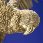 Ceiling Lamp Parrot Percy Gold Bird Lamps