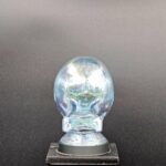 Clear Glass Skull Sculptural Table Lamp Cover