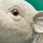 Money Box Pig Piggy Bank Animal Sculpture
