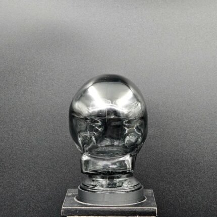 Smoke Gray Glass Skull Art Sculpture Light Cover
