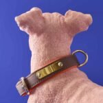 Decorative Figure Dog Charlie with Collar Animal Sculpture