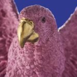 Ceiling Lamp Parrot Percy Pink Bird Lamps